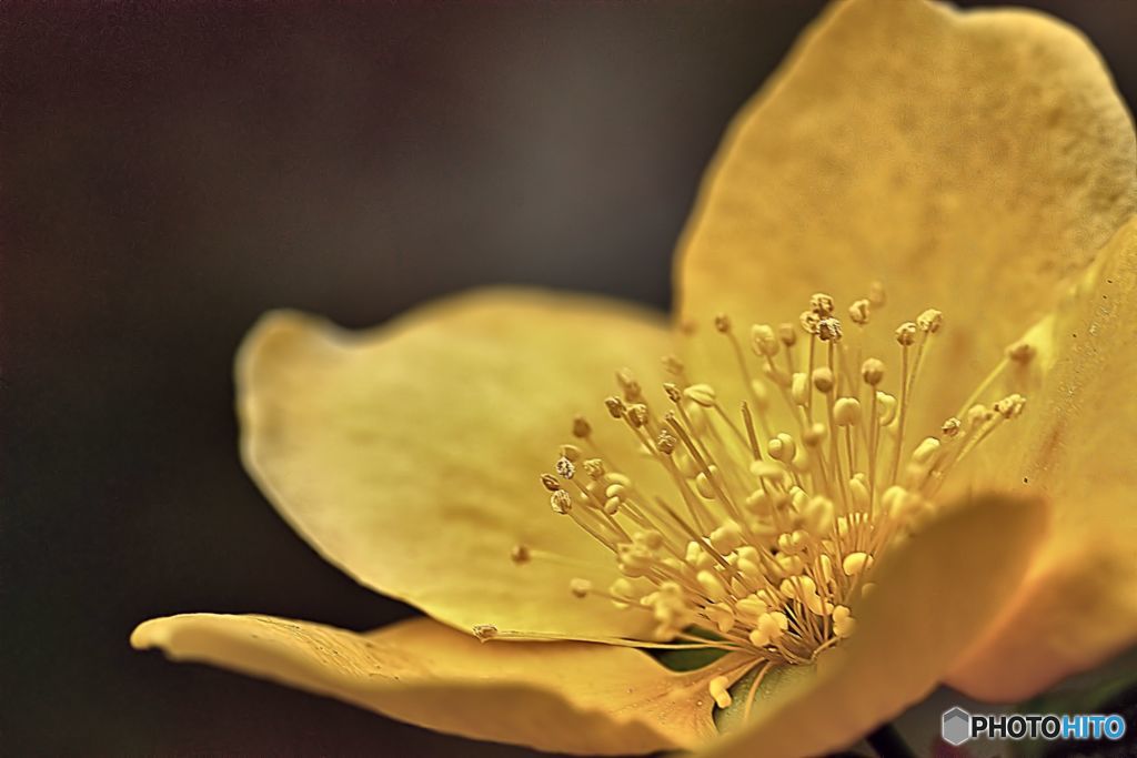 油断できない悩ましい君　其の1