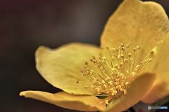 油断できない悩ましい君　其の1