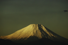 もっと近くで撮りたい