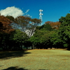白い電波塔