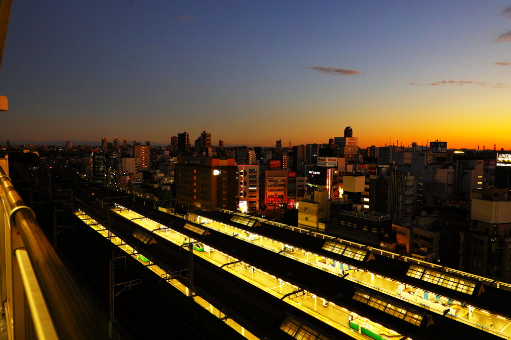 ホームの光条