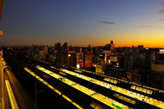 ホームの光条