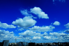 雲に聴け