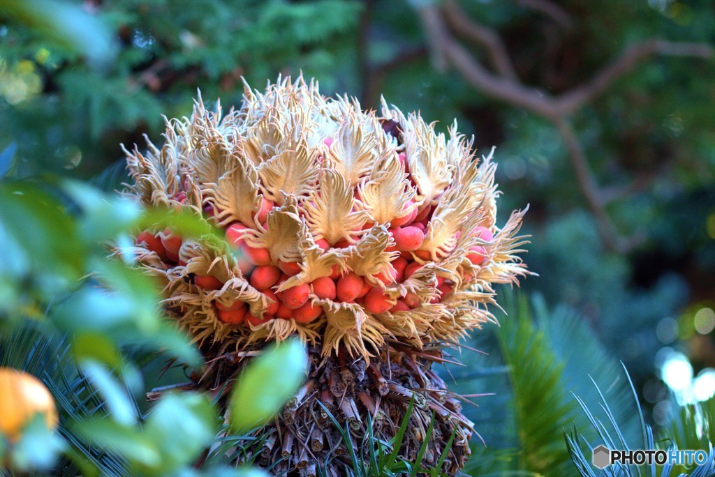おどろおどろしい　何これ