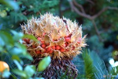 おどろおどろしい　何これ