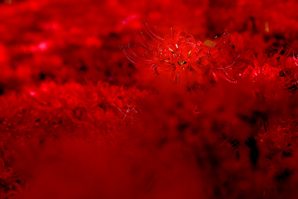 没個性という個性