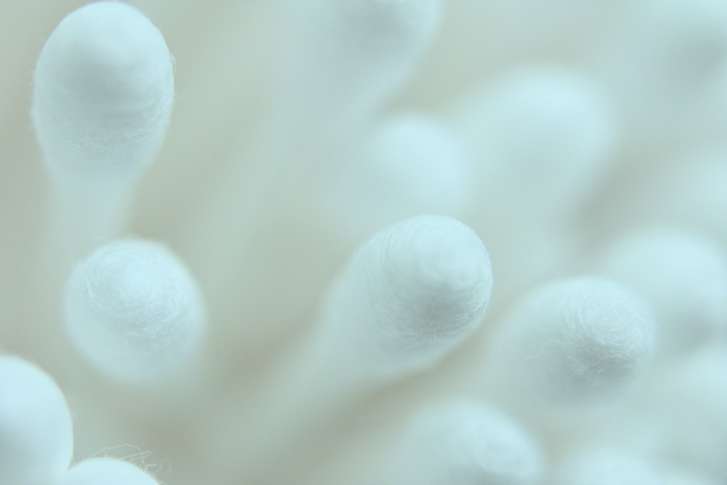 繭・・・。(;^ω^)　１