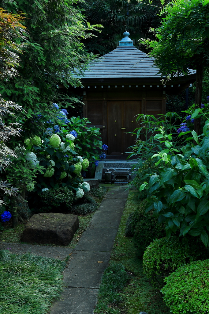 静寂の彩（いろどり）