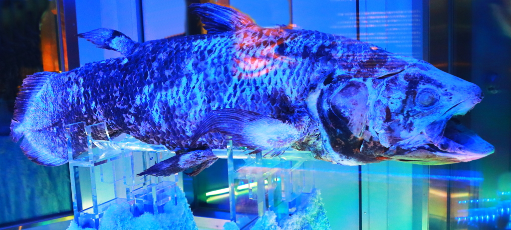 沼津港深海水族館