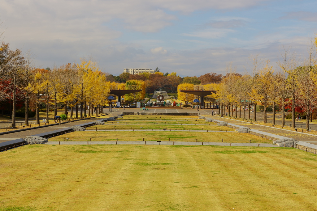 国営昭和記念公園
