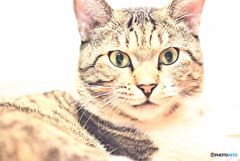 君の瞳の奥にはこちらの世界はどう映っているの？