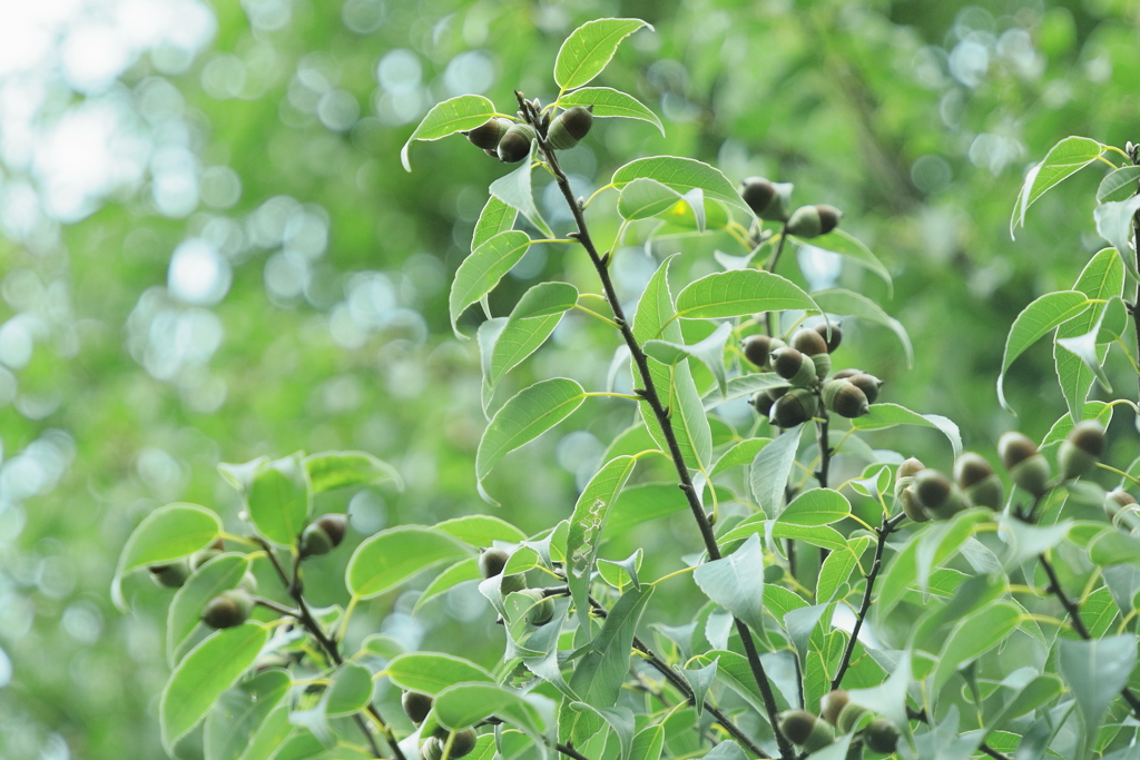 やわらかな時間