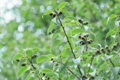 やわらかな時間