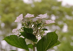 光を受け止めて