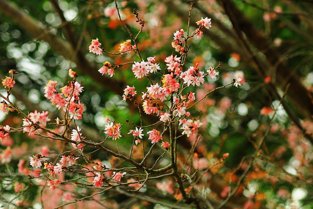 溌剌（はつらつ）と