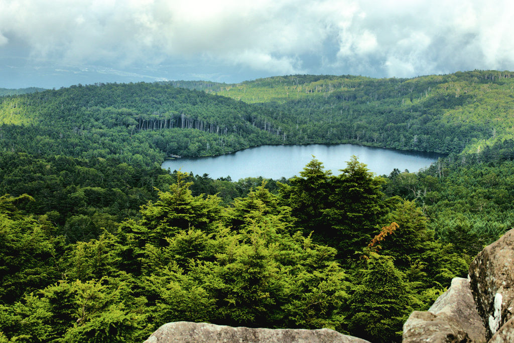 白駒池　森に空の穴