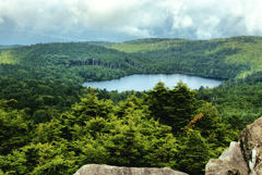 白駒池　森に空の穴