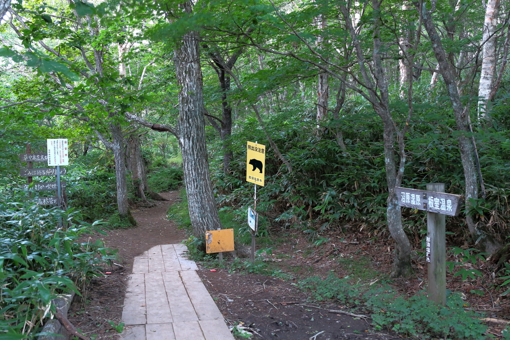 どうか熊さんと出会わない様に！
