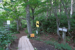 どうか熊さんと出会わない様に！