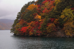 半島の突先染まる