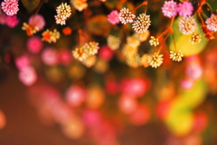 零れ落ちる　金平糖