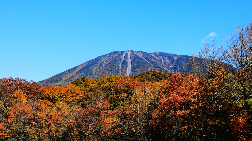 紅葉越しに頂を眺める　　男体山山頂