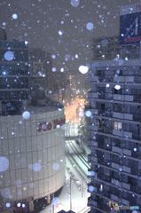東京では大雪　