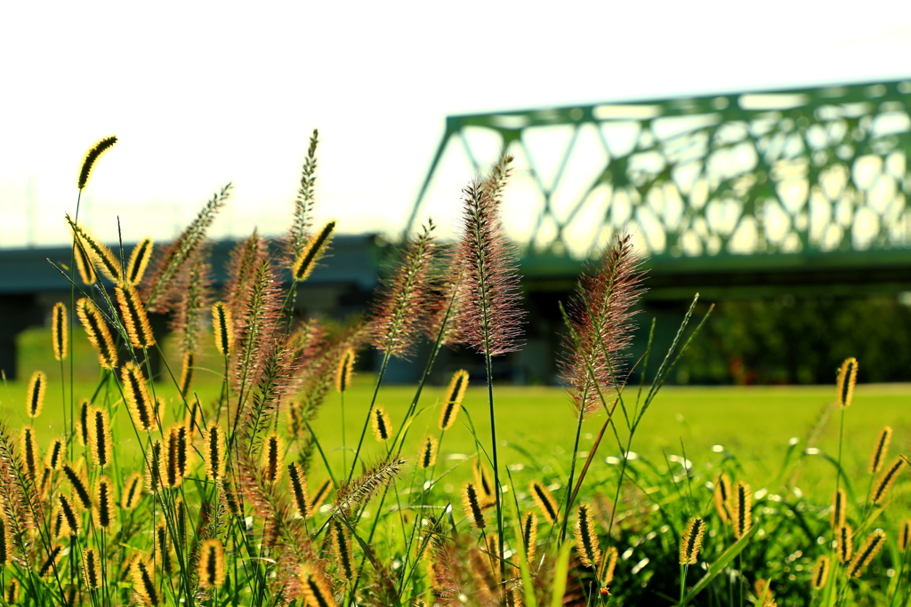 秋の日差しと構造物