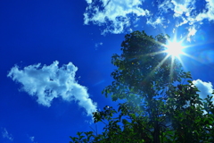 一体全体これから日本の夏はどうなる？