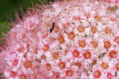 脱出不能・・・。