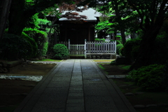 身の引き締まる 身の引き締まる