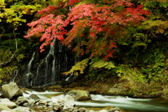 中野もみじ山　不動の滝