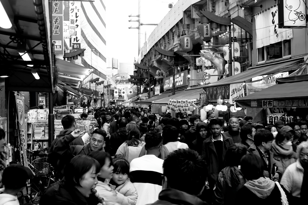 ２０２６年　午年　明けましておめでとうございます(^_-)-☆