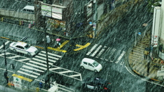 激