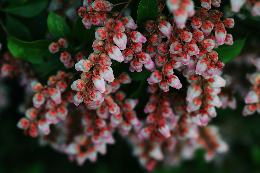 俯瞰して見えたもの