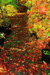 立ち入りが憚られるが・・・