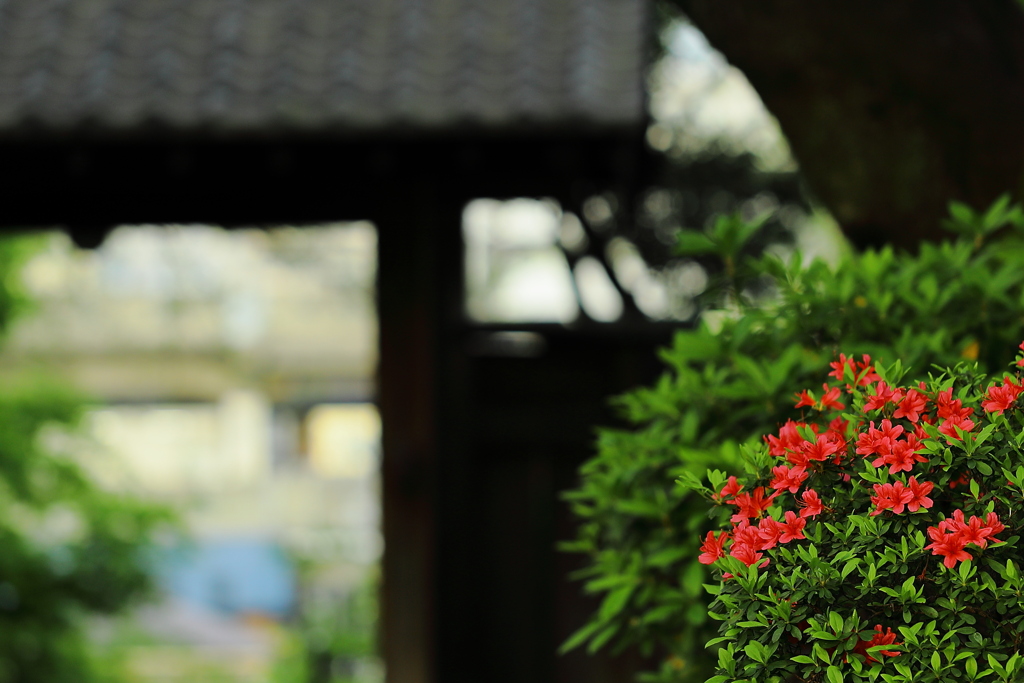 下界の喧騒を知る由もなく