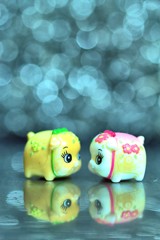 玉ボケ光源　見～つけた！