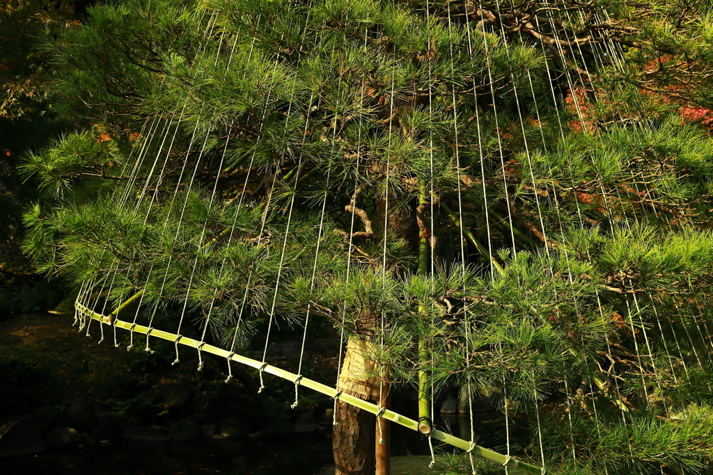 ｆｌａｒｅ（フレア～）な