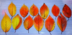 紅葉三昧　童心に還る