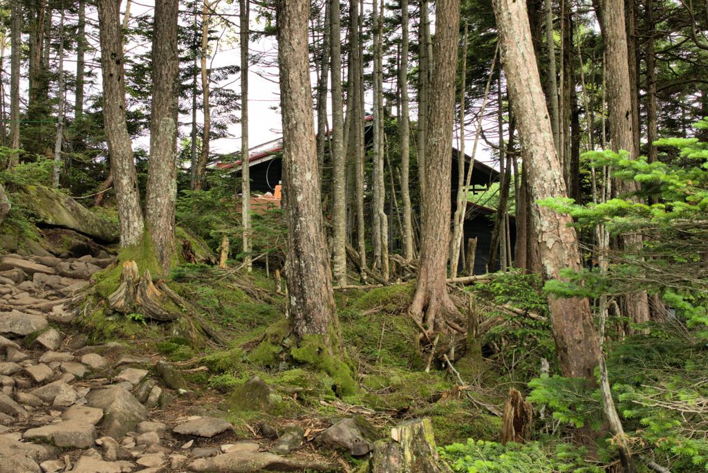 山小屋見えた！