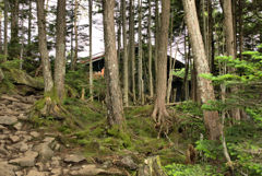 山小屋見えた！