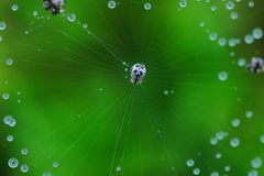 四方八方、俊敏に対応可