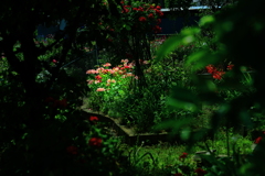 秘密　の　花園