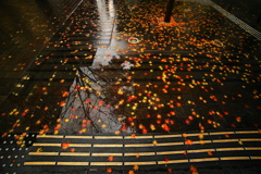 地上の星　ならぬ　「舗道の星」