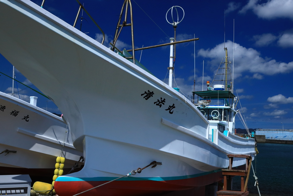 白い躯体（船体）を晒す