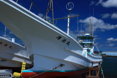 白い躯体（船体）を晒す