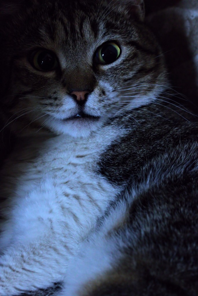 眼が醒めちゃいました？