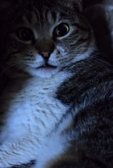 眼が醒めちゃいました？