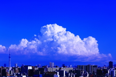 真夏の立役者